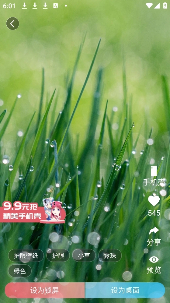 小鸟壁纸截图2