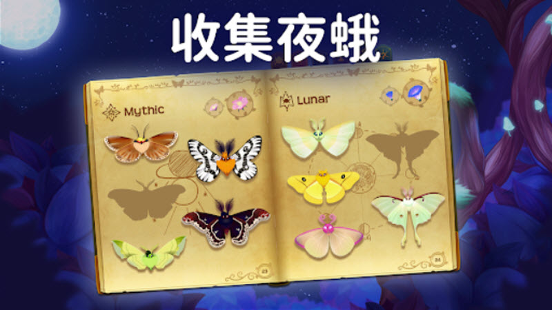 彩翼之星夜截图2