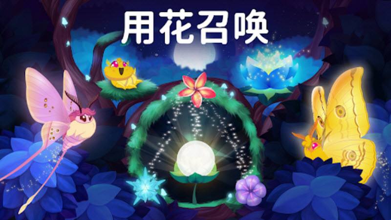 彩翼之星夜截图1