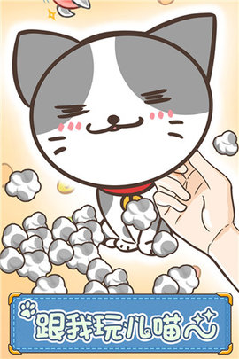 猫咪的毛游戏截图2